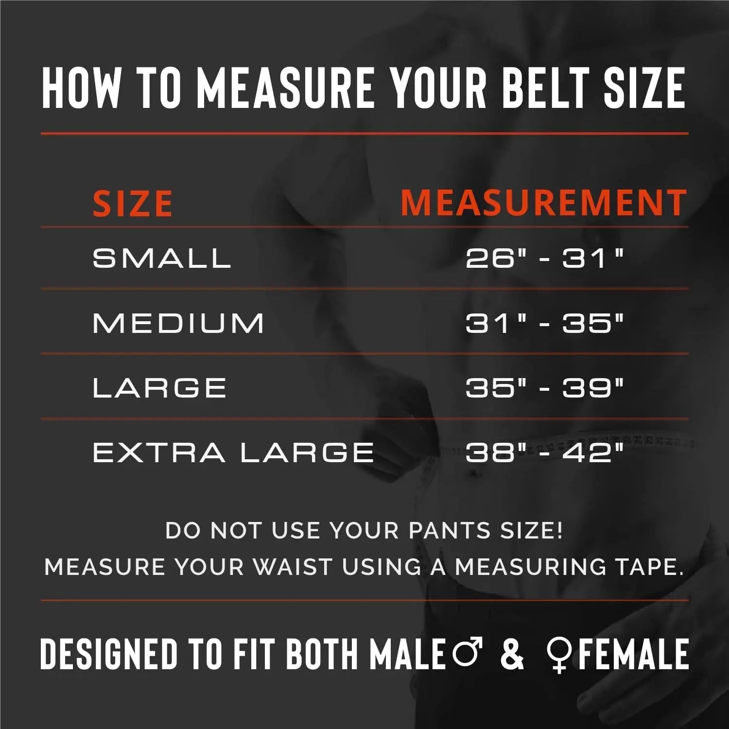 Weight Lifting Belt